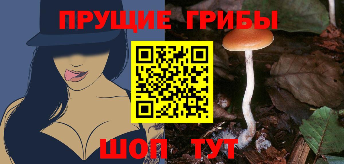 Псилоцибиновые грибы Cubensis Воркута